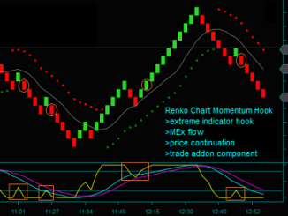 Renko Chart Momentum Trading Strategy