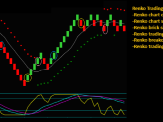 Key Renko Trading Tips And Day Trading Guide
